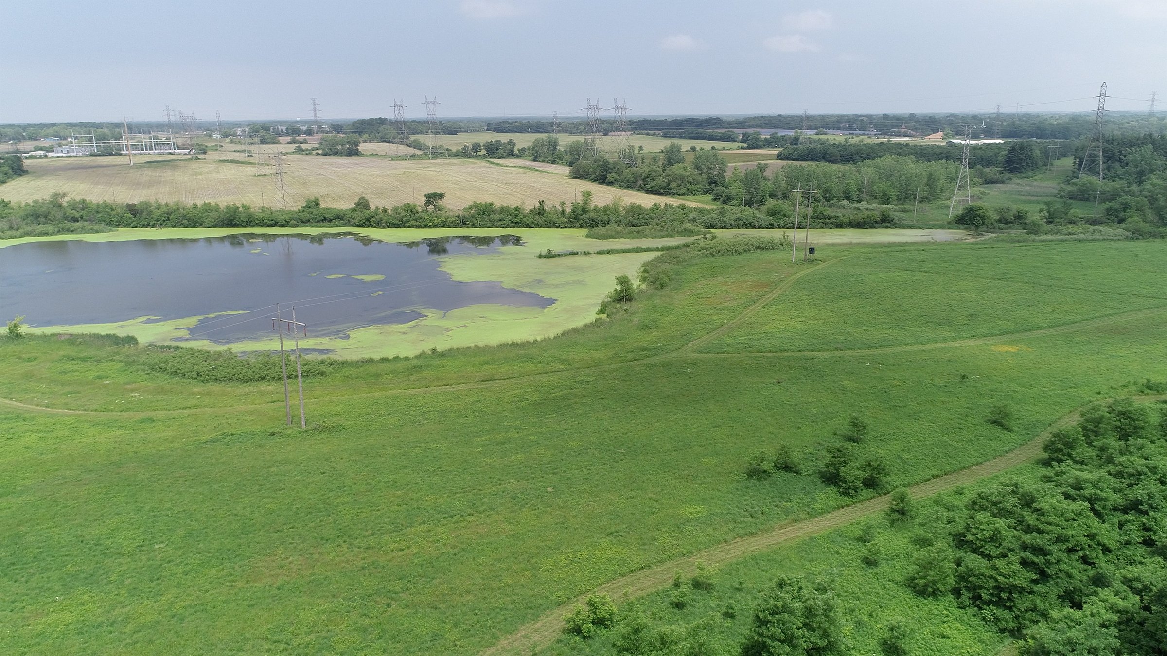 Lake County, Indiana farmland - LAND AUCTION - 147+/- ACRES OFFERED IN 3 TRACTS IN LAKE COUNTY, INDIANA